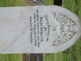 image of grave number 928670